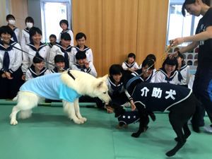 高１人権学習　バリアフリー社会を考える