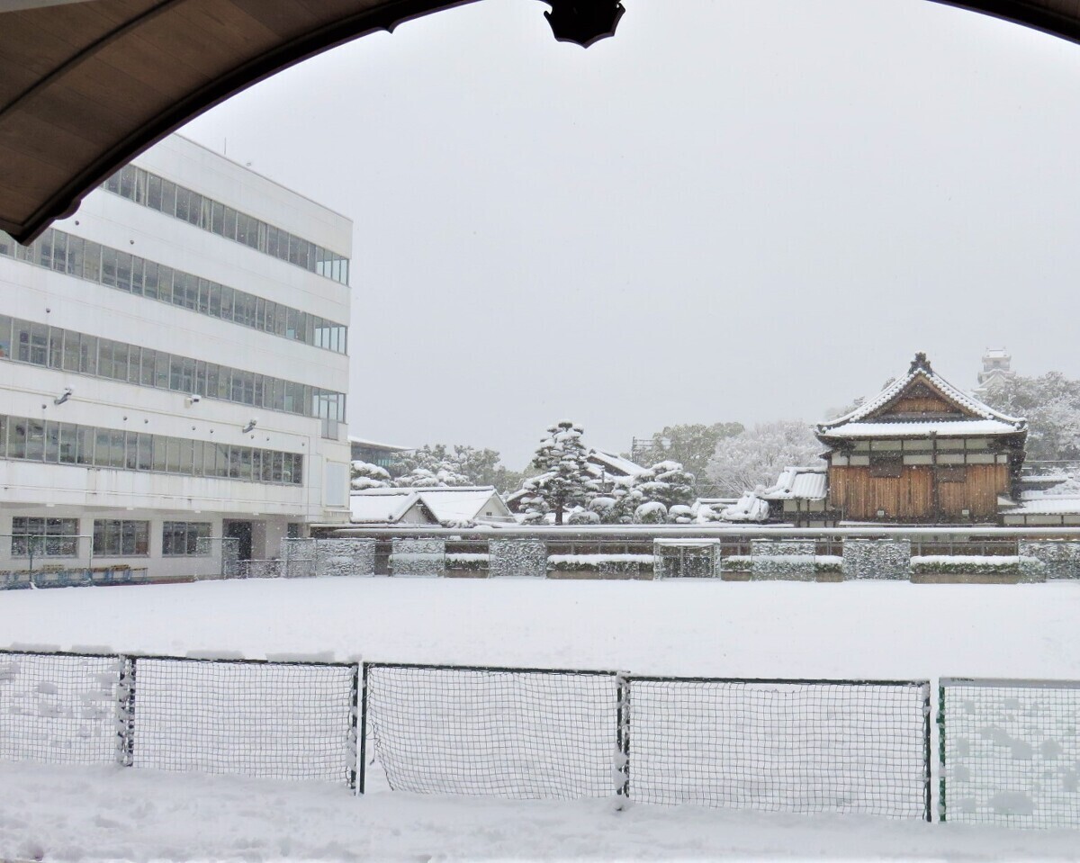 今想うこと（５２）濵田美穂「雪、雪、雪」
